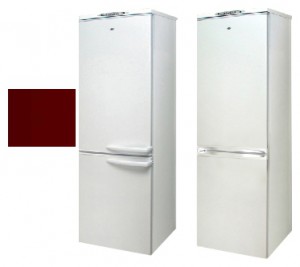 Холодильник Exqvisit 291-1-3005 Фото обзор