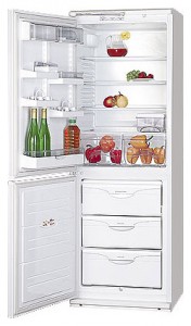 Refrigerator ATLANT МХМ 1809-12 larawan pagsusuri