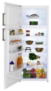 Kjøleskap BEKO DS 145100 Bilde anmeldelse