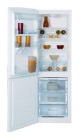 Refrigerator BEKO CS 234010 larawan pagsusuri