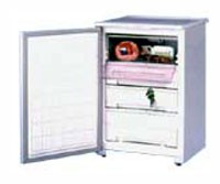 Kühlschrank Бирюса 90C Foto Rezension
