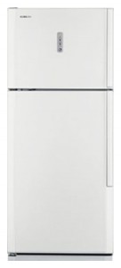 Kjøleskap Samsung RT-54 EMSW Bilde anmeldelse