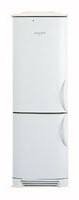 Tủ lạnh Electrolux ENB 3669 ảnh kiểm tra lại
