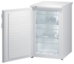 Refrigerator Gorenje F 3090 AW larawan pagsusuri