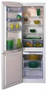 Refrigerator BEKO CSK 29000 larawan pagsusuri