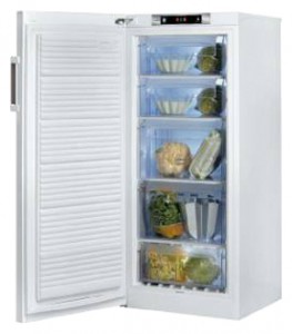 Refrigerator Whirlpool WVE 1410 A+W larawan pagsusuri