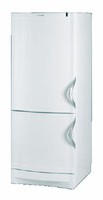 Refrigerator Vestfrost BKF 405 E58 Beige larawan pagsusuri