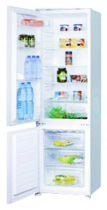 Холодильник Interline IBC 275 Фото обзор
