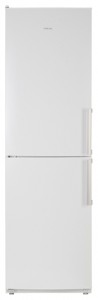Refrigerator ATLANT ХМ 6325-100 larawan pagsusuri
