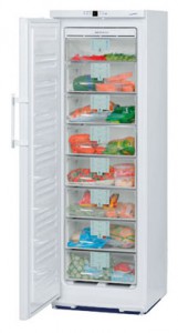 Refrigerator Liebherr GN 2856 larawan pagsusuri