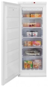 Fridge Vestfrost VF 321 WGNF Photo review