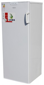 Kühlschrank Optima MF-156NF Foto Rezension