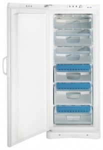 Kjøleskap Indesit UFAAN 300 Bilde anmeldelse