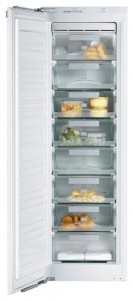 Refrigerator Miele FN 9752 I larawan pagsusuri