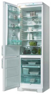 Refrigerator Electrolux ERB 4109 larawan pagsusuri
