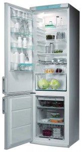 Refrigerator Electrolux ERB 9043 larawan pagsusuri