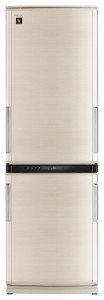 Kühlschrank Sharp SJ-WP331TBE Foto Rezension