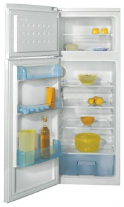 Холодильник BEKO DSK 25000 Фото обзор