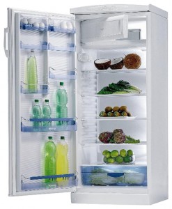 Køleskab Gorenje RB 6288 W Foto anmeldelse