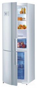 Refrigerator Gorenje NRK 65308 E larawan pagsusuri