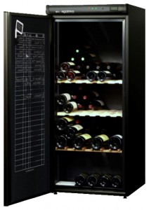 Refrigerator Climadiff AV175 larawan pagsusuri