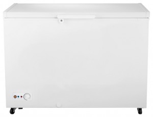 Refrigerator Hisense FC-40DD4SA larawan pagsusuri