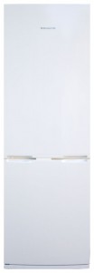 Kühlschrank Snaige RF31SH-S10001 Foto Rezension