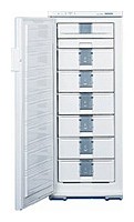 Refrigerator Liebherr GSN 2926 larawan pagsusuri