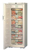 Refrigerator Liebherr GSN 3323 larawan pagsusuri