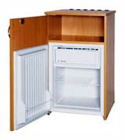 Refrigerator Snaige R60.0412 larawan pagsusuri