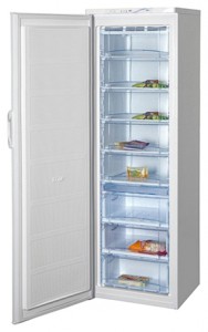 Refrigerator BEKO FN 129920 larawan pagsusuri