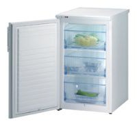 Refrigerator Mora MF 3101 W larawan pagsusuri