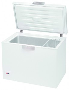 Refrigerator BEKO HSA 13520 larawan pagsusuri