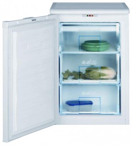 Refrigerator BEKO FNE 1070 larawan pagsusuri