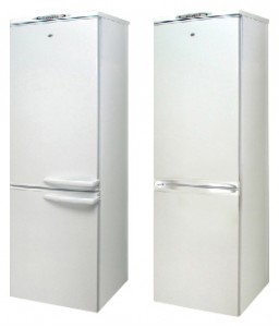 Kühlschrank Exqvisit 291-1-C12/6 Foto Rezension