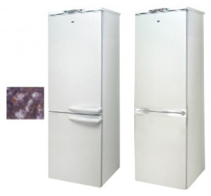 Холодильник Exqvisit 291-1-C5/1 Фото обзор