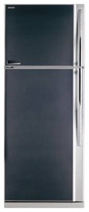 Refrigerator Toshiba GR-YG64RD GB larawan pagsusuri