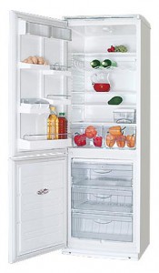 Kühlschrank ATLANT ХМ 6019-001 Foto Rezension