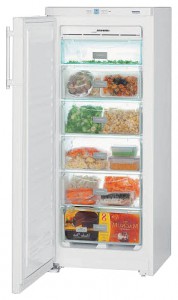 Tủ lạnh Liebherr GN 2303 ảnh kiểm tra lại