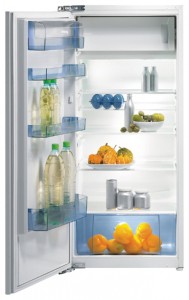 Kühlschrank Gorenje RBI 51208 W Foto Rezension