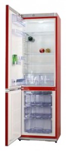 Refrigerator Snaige RF36SM-S1RA01 larawan pagsusuri