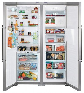Refrigerator Liebherr SBSes 7273 larawan pagsusuri