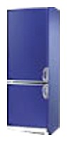 Buzdolabı Nardi NFR 31 U fotoğraf gözden geçirmek