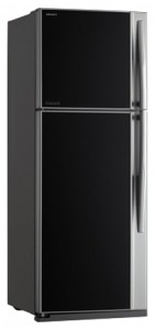 Køleskab Toshiba GR-RG59FRD GU Foto anmeldelse