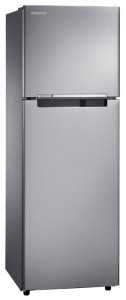 Refrigerator Samsung RT-25 HAR4DSA larawan pagsusuri