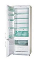 Refrigerator Snaige RF315-1513A GNYE larawan pagsusuri
