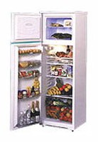 Kühlschrank NORD 244-6-330 Foto Rezension