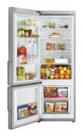 Kühlschrank Samsung RL-29 THCTS Foto Rezension