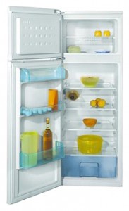 Холодильник BEKO DSA 25020 Фото обзор