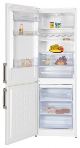 Refrigerator BEKO CS 234030 larawan pagsusuri